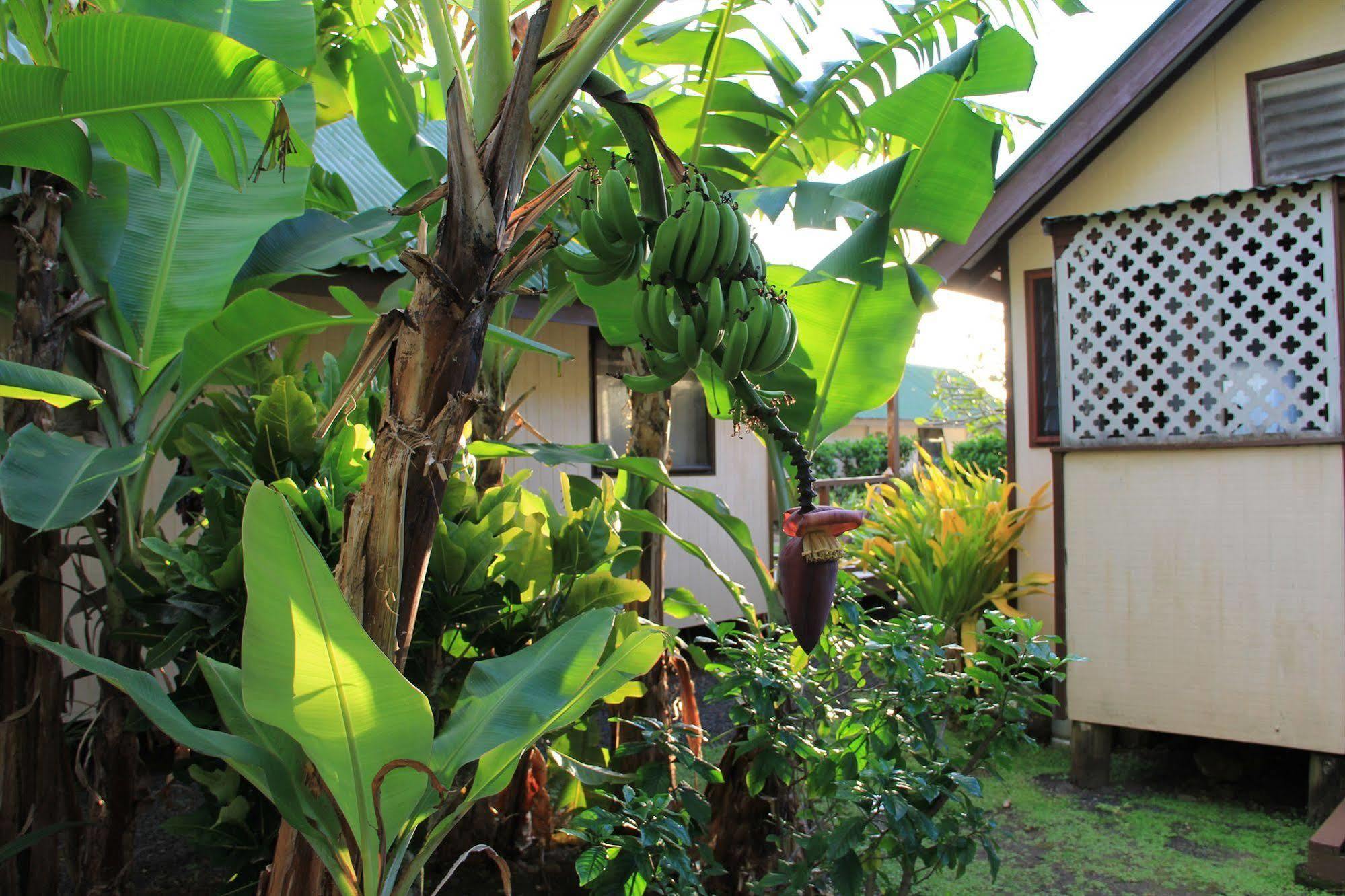 Aroko Bungalows Vila Avarua Exterior foto